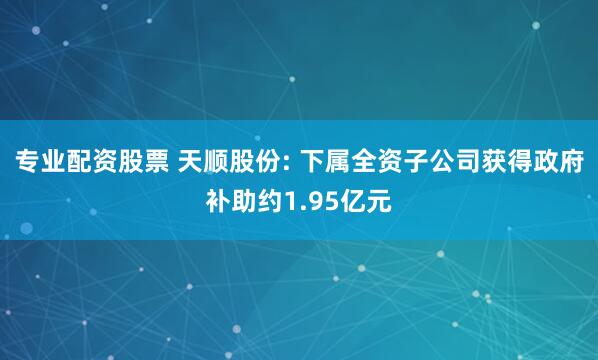 专业配资股票 天顺股份: 下属全资子公司获得政府补助约1.95亿元