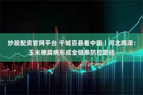 炒股配资官网平台 千城百县看中国｜河北鸡泽：玉米穗腐病形成全链条防控路径