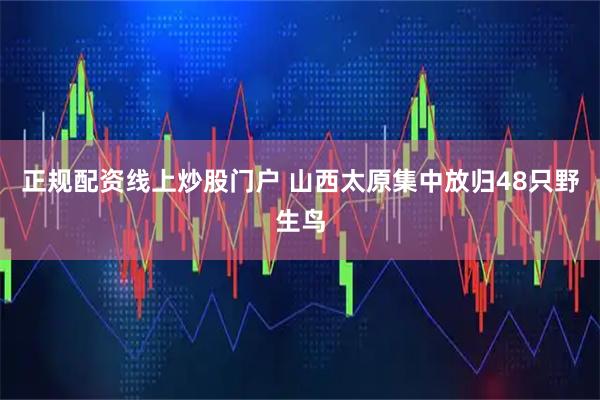 正规配资线上炒股门户 山西太原集中放归48只野生鸟
